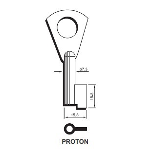 PROTON STARY TYP